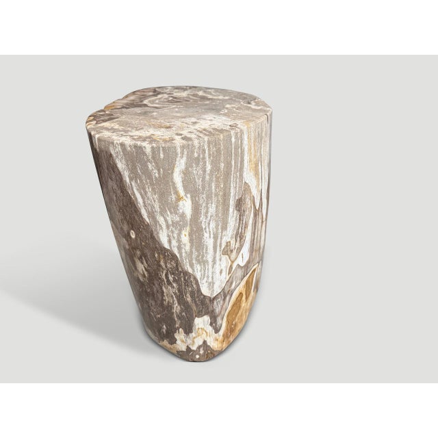 Contemporary Andrianna Shamaris Impressive High Quality Ancient Petrified Wood Side Table For Sale - Image 3 of 6