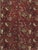 Red Antique Indian Agra Carpet, Hunting Rugs, Oriental Rugs, Red, Gold, Ivory, Brown For Sale - Image 8 of 18