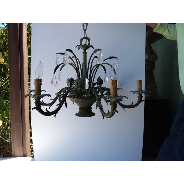Beautiful wide and short flower basket chandelier with green finish and rock crystal drops.
