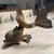 Mid-Century Modern 1970s Gabriella Crespi Silvered Bronze and Horn Dolphin Sculptor - Signed For Sale - Image 3 of 10