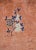 1900 - 1909 Early 20th Century Chinese Mandarin Rug For Sale - Image 5 of 12