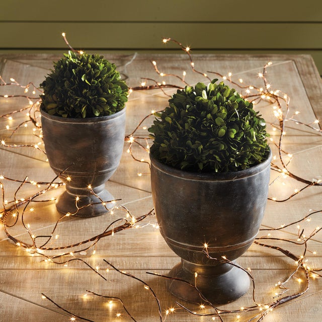 Early 21st Century Boxwood Ball 8" For Sale - Image 5 of 6