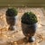 Early 21st Century Boxwood Ball 8" For Sale - Image 5 of 6