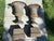 Late 20th Century Neoclassical Cast Iron Urns on Plinths - A Pair For Sale - Image 10 of 12