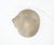 Snail Lamp attributed to André Cazenave, 1970s For Sale - Image 13 of 16