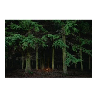 Fires 7, Ellie Davies, 2018 For Sale