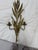 French Provincial Gilt Metal- Wheat Sheaf Candle Wall Sconce For Sale - Image 3 of 3