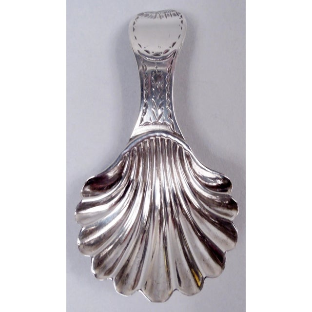 Hester Bateman Tea Caddy Georgian Neoclassical English Sterling Silver 1784 For Sale - Image 10 of 12