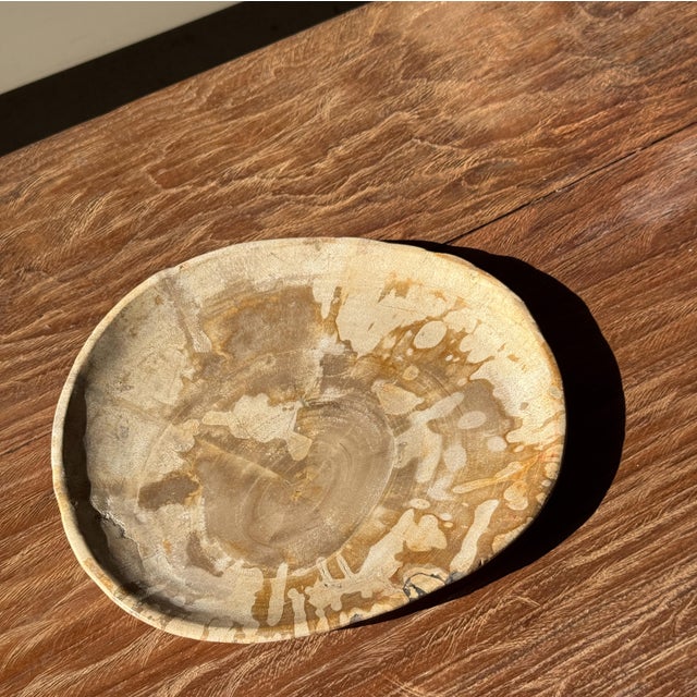 Small Trinket Tray in Speckled Beige Petrified Wood For Sale - Image 17 of 18