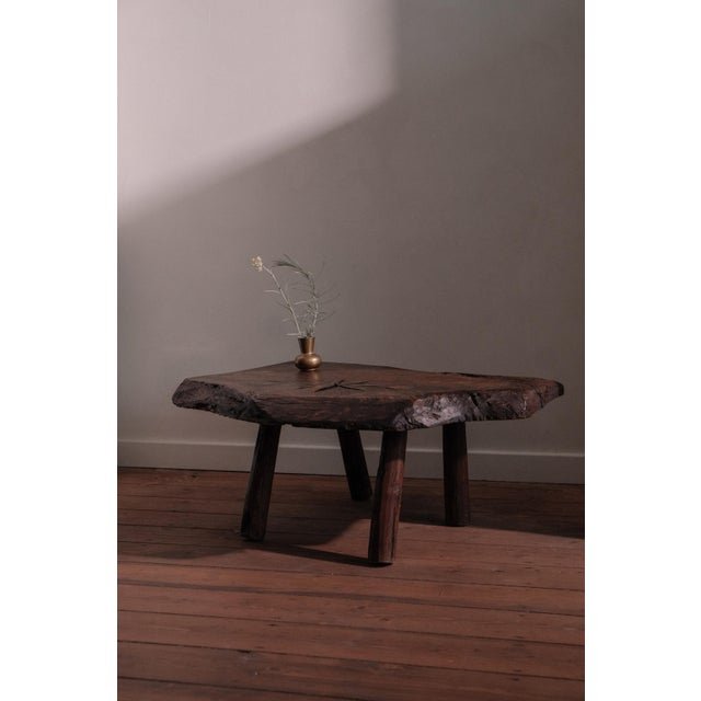 Brown Organic Coffee Table in Wood For Sale - Image 8 of 8