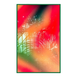 No Filter by Annie Spratt Contemporary Photograph in Green Acrylic Frame, Large For Sale