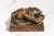 High Relief Female Figure Sculpture Antique Art Nouveau Bronze Paperweight A. Förster & Co. Wien Austria Desk For Sale - Image 13 of 16