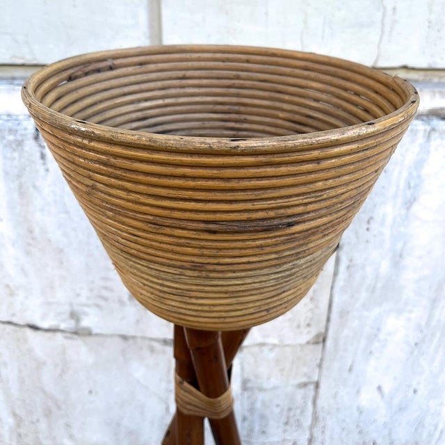 Bamboo and Rattan Plant Pot, Italy, 1950s For Sale - Image 9 of 16