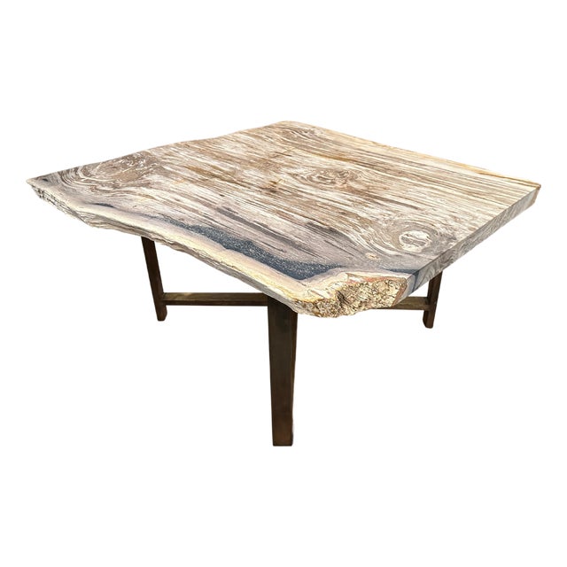Andrianna Shamaris Live Edge Petrified Wood Coffee Table For Sale