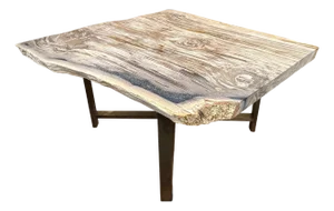 Andrianna Shamaris Live Edge Petrified Wood Coffee Table