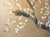 1950-1960s Shōwa Era Japanese Painted Silk Byobu Screen "Blossoming Sakura" For Sale - Image 14 of 18