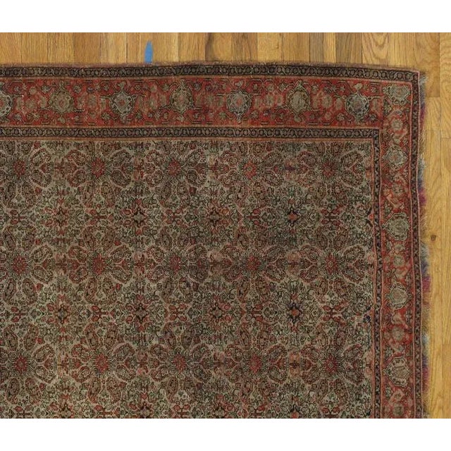 Traditional Antique Senneh Rug with Multicolored Silk Warp, Handmade, Fine Ivory, Red, Blue For Sale - Image 3 of 4