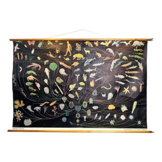 Vintage Linen School Chart, 1930s For Sale