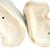 Circa 1860-1880 Victorian Staffordshire Gold-Lustre Spaniel Dogs, Pair For Sale - Image 14 of 15