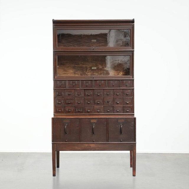 Pharmacy Display Cabinet from Globe Wernicke, 19th Century For Sale - Image 15 of 15