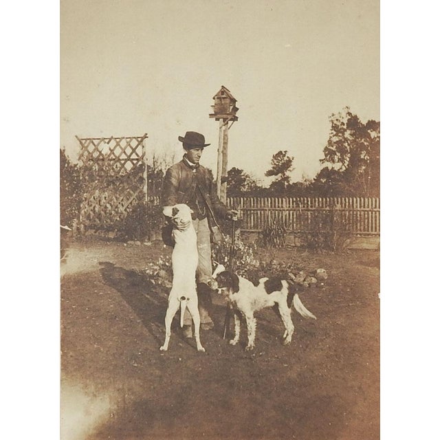 Vintage Antique Albumen Photograph Man Hunting Bird Dogs Dovecote For Sale - Image 4 of 4