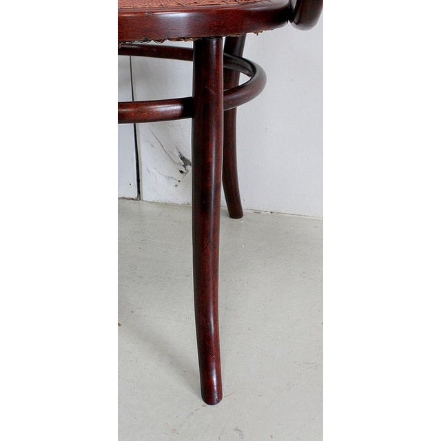 N ° 209 Le Corbusier Armchair from Thonet, 1920s For Sale - Image 15 of 18