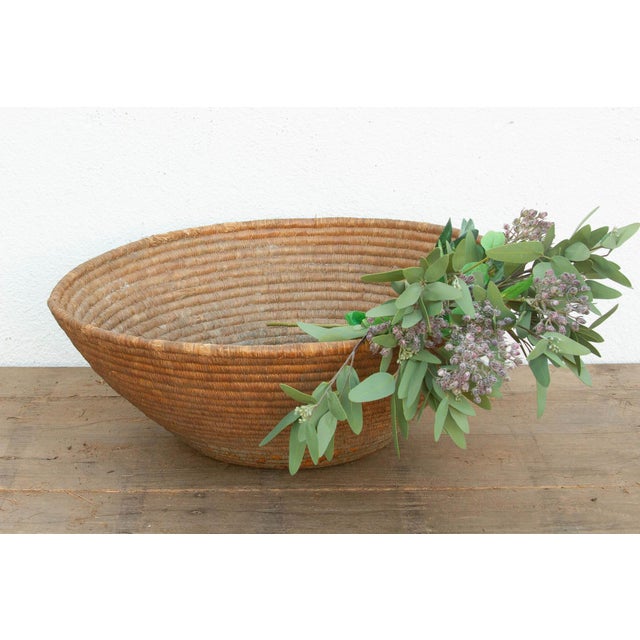 At a sprawling 29 inches wide and 11 inches deep, this oversized nomadic harvest vessel is a truly spectacular artifact of...