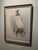 Mid 20th Century Framed Print of Greenland Falcon, Joseph Wolf, From "Traité De Fauconnerie" For Sale - Image 4 of 14