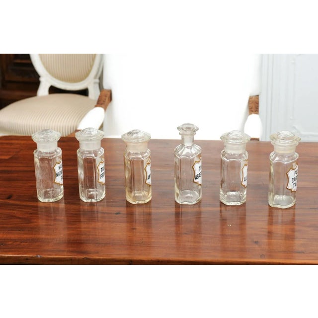 1840s French Louis-Philippe Period Glass Apothecary Jar with Latin Label For Sale - Image 9 of 12