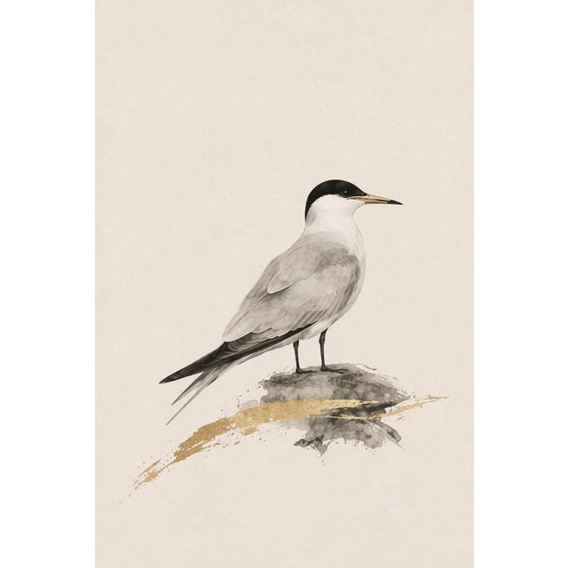 Coastal Tern Study, Minimalist Nautical Art Print, 24″ × 36″ Reproduction For Sale