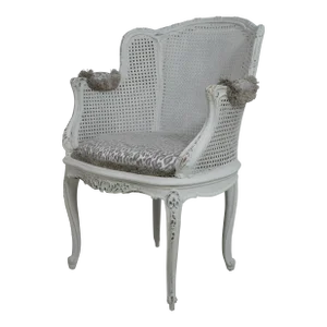 French Cane Back Painted Finish Decorative Armchair