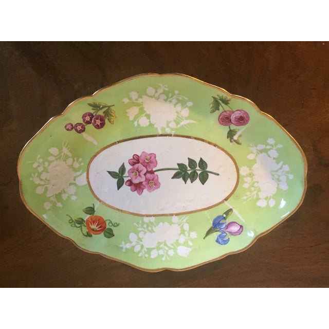 Coalport Porcelain Antique Early 19th Century English Regency Coalport Porcelain Botanical Oval Dessert Dish For Sale - Image 4 of 9
