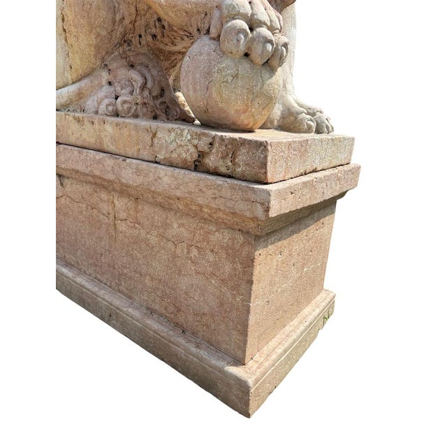 Large Renaissance Style Lions in Red Verona Marble on Bases, Late 20th Century, Set of 2 For Sale - Image 9 of 10