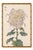 Whispering Petals Diptych – Vintage Japanese Botanical Prints (Set of 2), 12" X 18" For Sale In Buffalo - Image 6 of 8