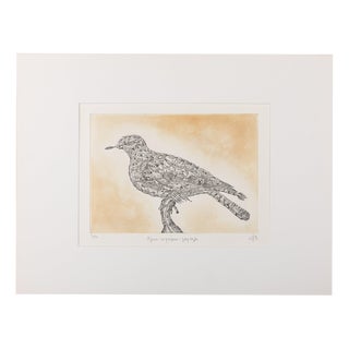 Maria Paletta, Carrier Pigeon, Etching For Sale