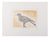 Maria Paletta, Carrier Pigeon, Etching For Sale
