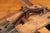 Brown 19th Century Salesman Sample Shoe and Boot Leather Stretcher For Sale - Image 8 of 10