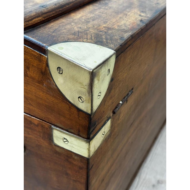 Antique Camphor Wood Chest, 1900 For Sale - Image 6 of 14