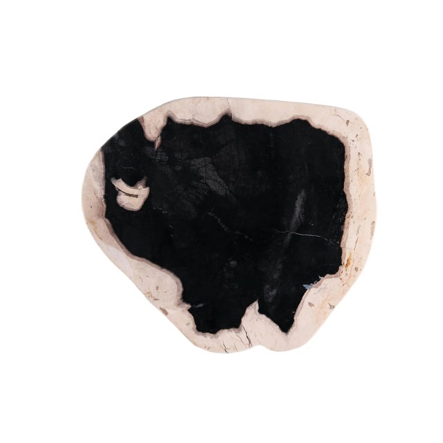 2020s Hand Cut & Polished Petrified Wood Board For Sale - Image 5 of 7