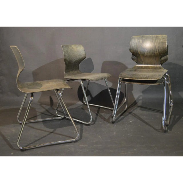 Dining Chairs by Elmar Flötotto for Pagholz Flötotto, 1970s, Set of 4 For Sale - Image 11 of 13
