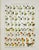 Presenting a beautiful pair of antique chromolithographs featuring exquisitely detailed butterfly specimens. These plates...
