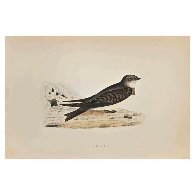 Alexander Francis Lydon, Sand Martin, Woodcut Print, 1870 For Sale