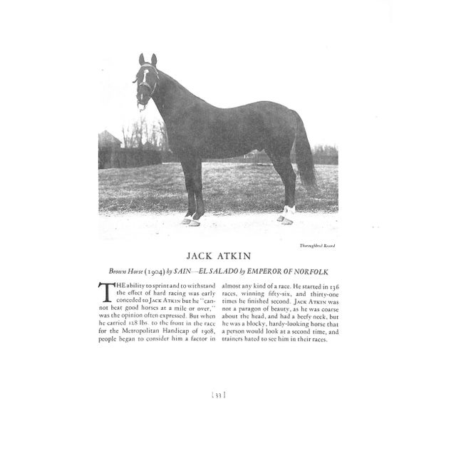 1920s "Thoroughbred Types 1900-1925: Race Horses, Steeplechasers, Hunters, and Polo Ponies" 1926 Vosburgh, w.s. For Sale - Image 5 of 12