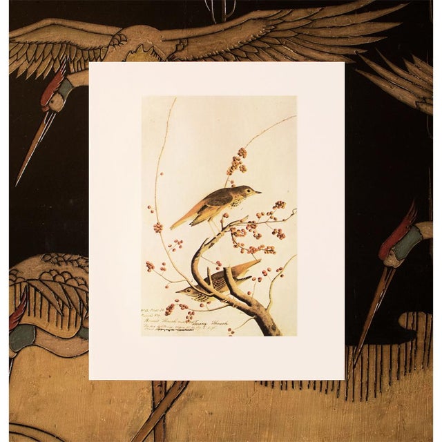 1966 Vintage Farmhouse Cottage Style Print "Hermit Thrush" After John James Audubon For Sale In Dallas - Image 6 of 7