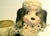 Ceramic Poodle Shawnee Dog Planter Hand Painted Porcelain Puppy USA VTG MCM 1950s Excellent vintage condition. No damage,...