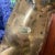 Pair of Tall Vintage Brass Giraffe Figurine Sculptures Overt 2 Feet For Sale - Image 11 of 11