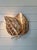 Floral Wall Sconce in Brass from Maison Jansen, France, 1970s For Sale - Image 6 of 11