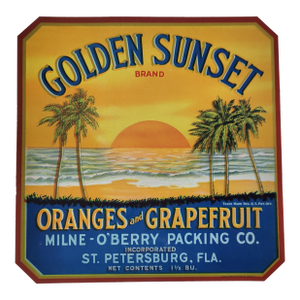 1930s 'Golden Sunset Brands Oranges & Grapefruit' Florida Fruit Crate Label