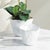 Early 21st Century Maribella Cachepots, Set Of 2 For Sale - Image 5 of 6
