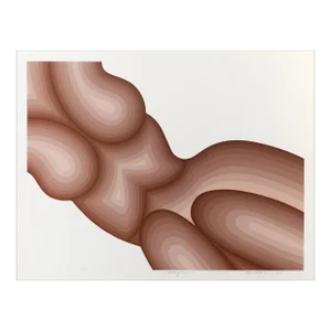 Odalisque, Roy Ahlgren Screen Print